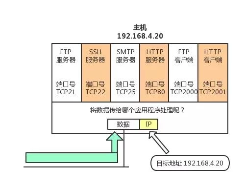 通过端口号识别应用